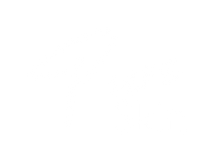 Pure Skin